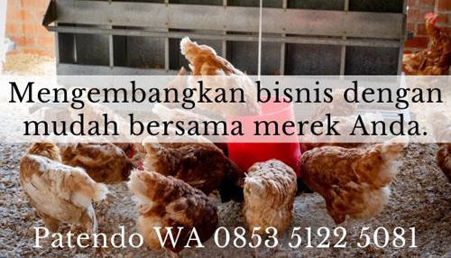 10 Tips Ampuh Jalankan Bisnis Ayam Potong Bagi Pemula